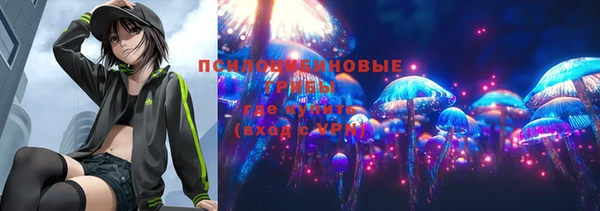 первитин Арсеньев