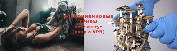а пвп мука Армянск
